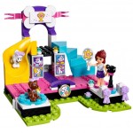  LEGO Friends    (41300)