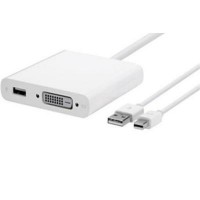   Apple Mini DisplayPort to Dual-Link DVI Adapter (MB571Z/A)
