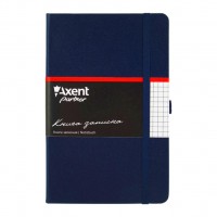   Axent Partner, 125*195, 96sheets, square, blue (8201-02-)