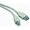    Cablexpert USB 2.0 AM/BM 4.5m (CCB-USB2-AMBM-15)